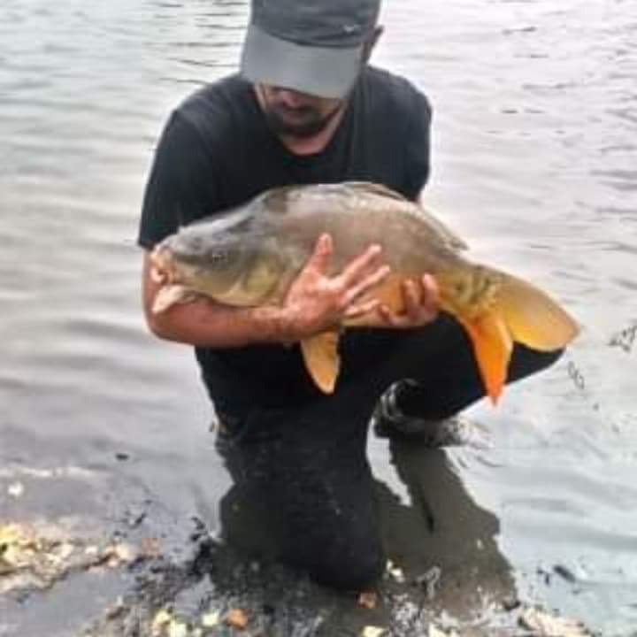 Profil de Yoni